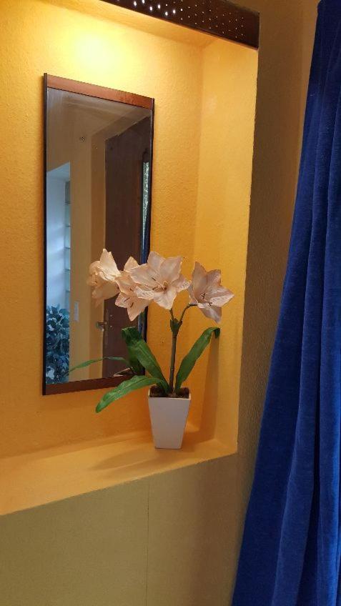 Ferienhaus Monarda ゴスラー エクステリア 写真